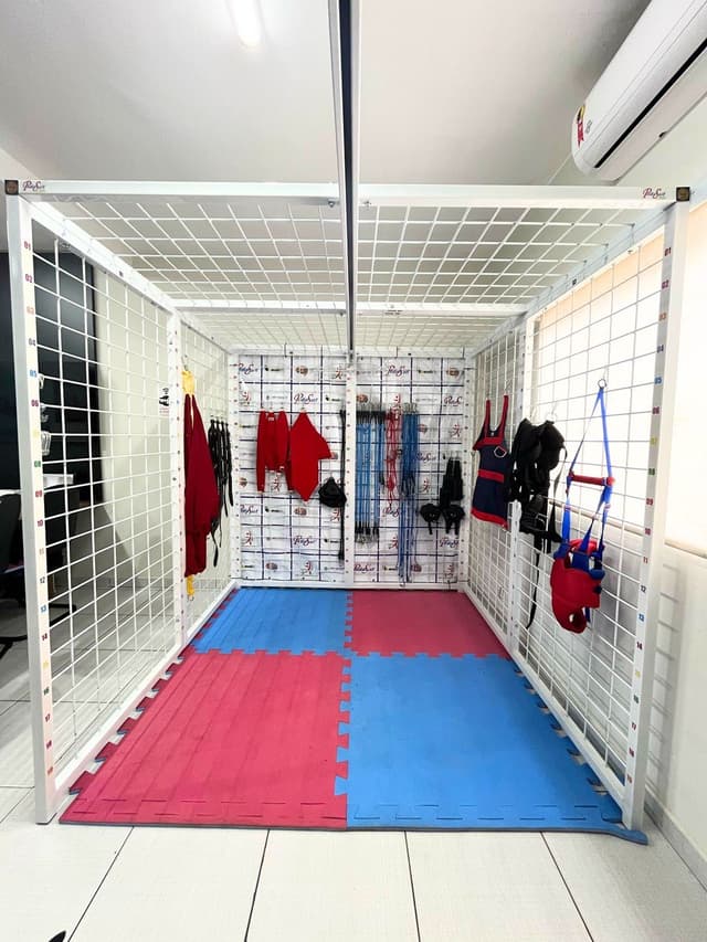 Ability Exercise Unit (AEU)